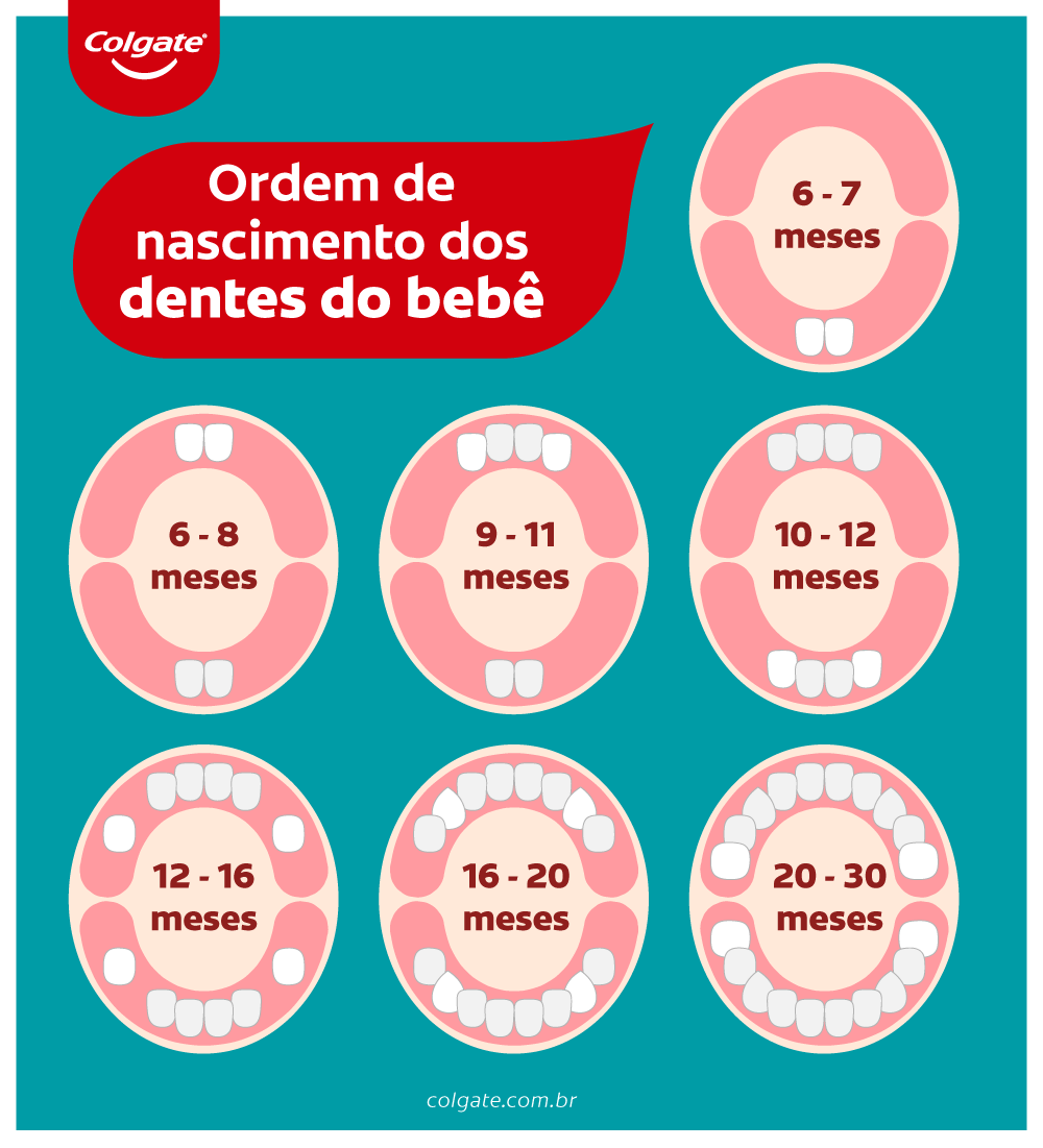 Infográfico sobre ordem de nascimento dos dentes do bebê